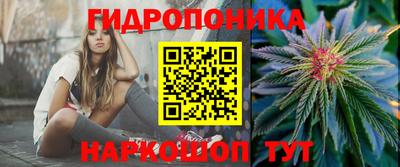 гидропоника Кинель