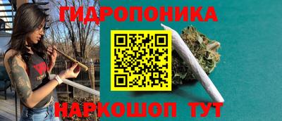 ECSTASY Кимры