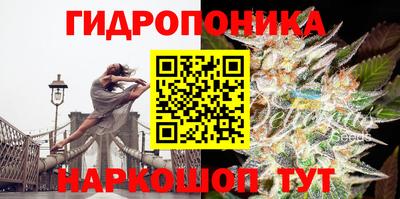 гидропоника Кинель