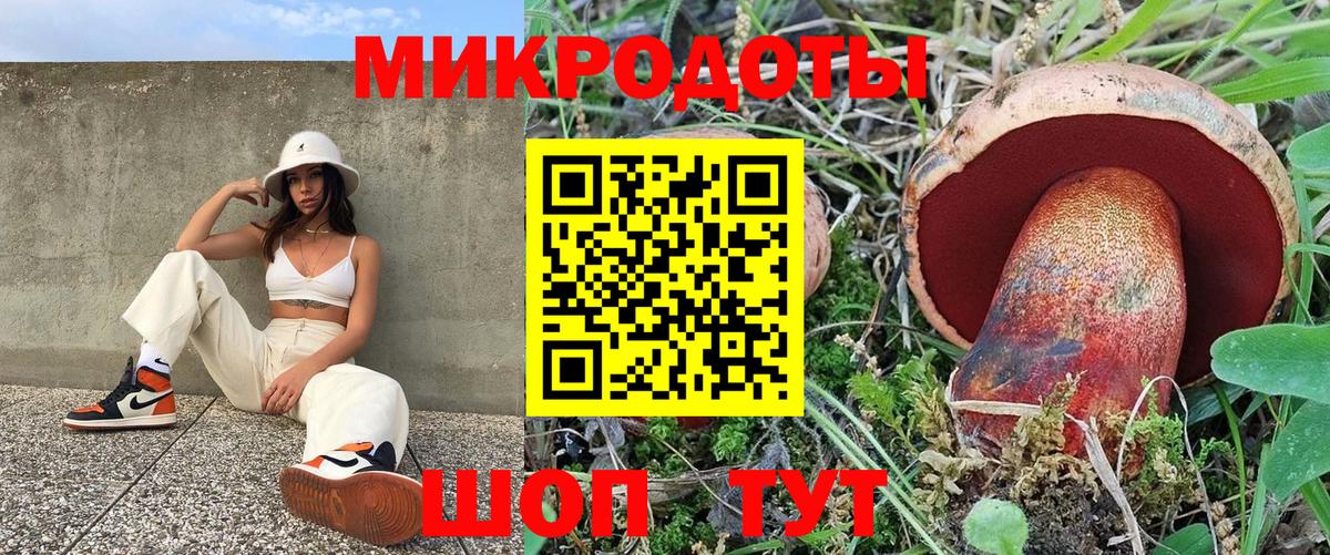 Галлюциногенные грибы Psilocybine cubensis Киров
