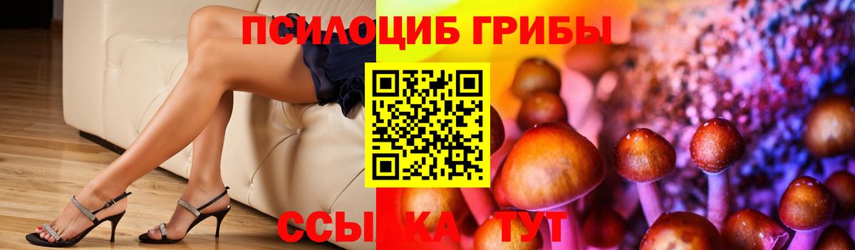 Псилоцибиновые грибы мицелий  Вход с VPN  Киров 